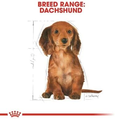 Royal Canin Breed Health Nutrition Dachshund Puppy 1.5 KG