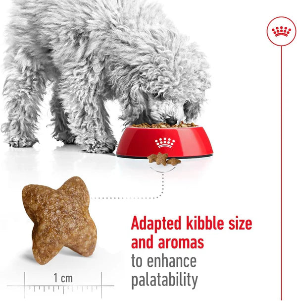 Royal Canin Mini Adult Dry Dog Food