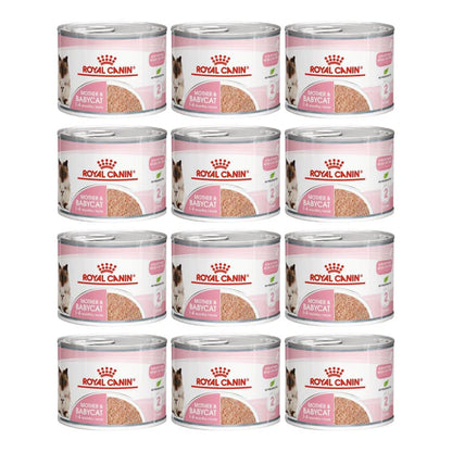 Royal Canin Mother & Babycat Mousse - Young & Adult Wet Cat Food