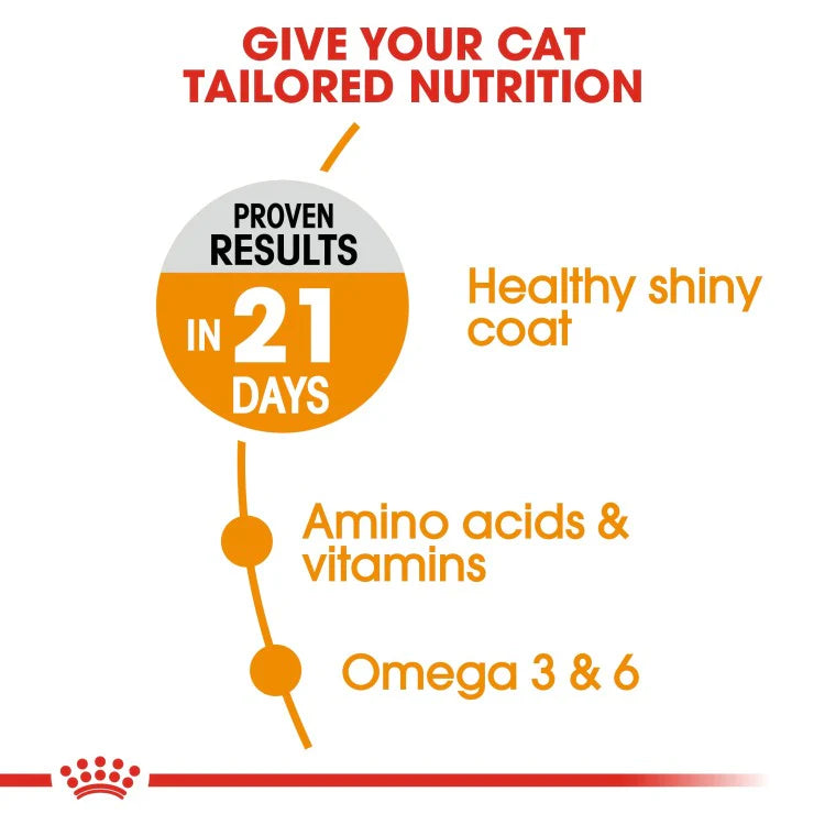 Royal Canin Feline Care Nutrition Hair & Skin Dry Cat Food