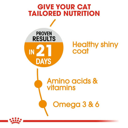 Royal Canin Feline Care Nutrition Hair & Skin Dry Cat Food