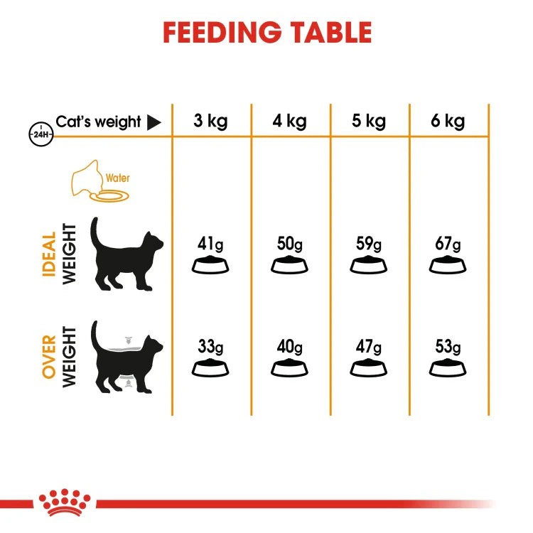 Royal Canin Feline Care Nutrition Hair & Skin Dry Cat Food