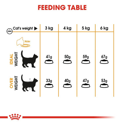 Royal Canin Feline Care Nutrition Hair & Skin Dry Cat Food
