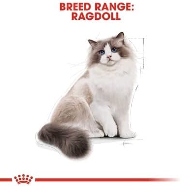 Royal Canin Ragdoll Adult Dry Cat Food - 2KG