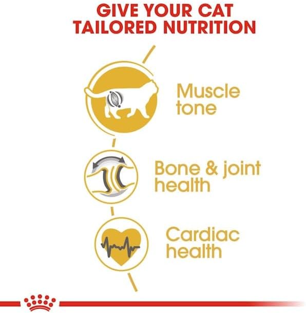 Feline Breed Nutrition British Shorthair Adult 4 kg