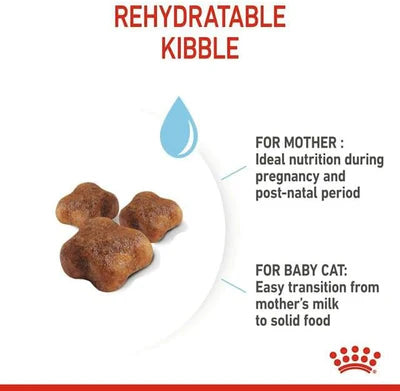 Royal Canin Mother & Babycat Dry Cat Food