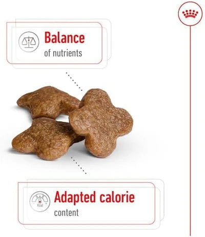 Royal Canin Mini Adult 8+ Dry Dog Food