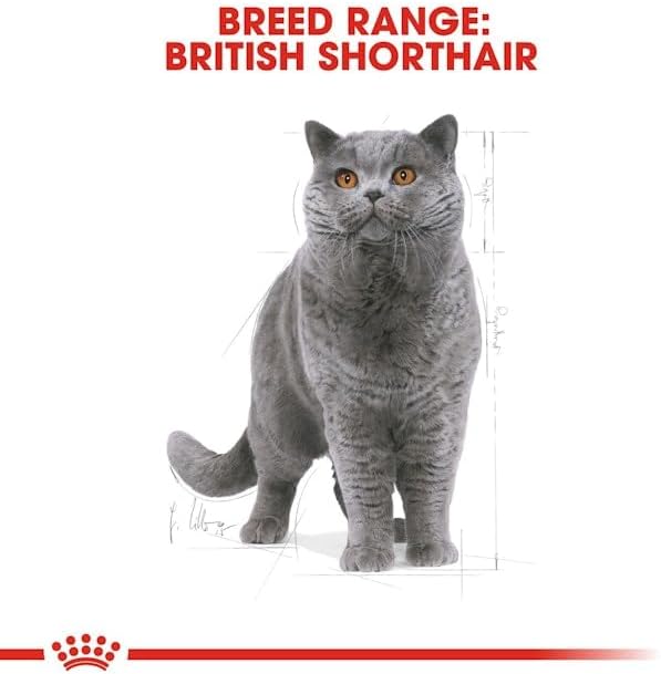 Feline Breed Nutrition British Shorthair Adult 4 kg