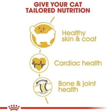 Royal Canin Ragdoll Adult Dry Cat Food - 2KG