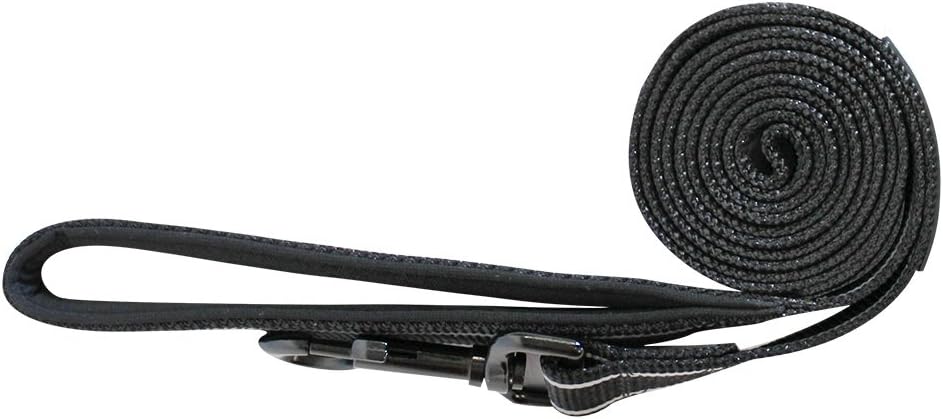 Alcott Adventure Dog Leash With Reflective Stitching & Neoprene Padded Handle, Large, Black