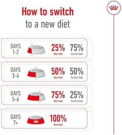 Royal Canin Mini Adult 8+ Dry Dog Food