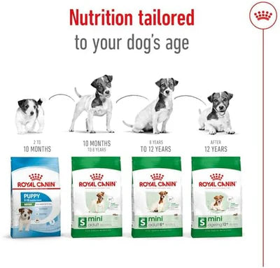 Royal Canin Mini Adult 8+ Dry Dog Food