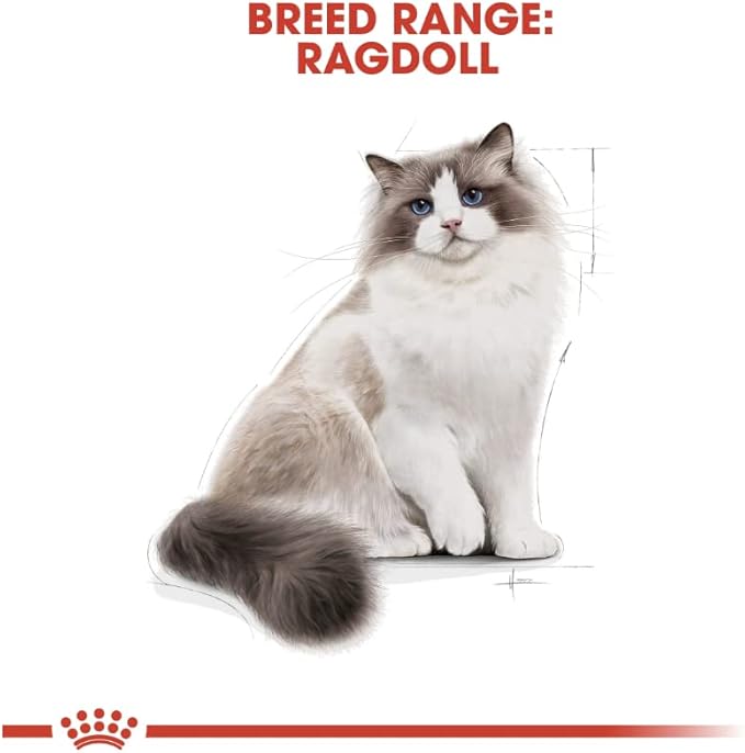 Feline Breed Nutrition Ragdoll Adult 2 Kg