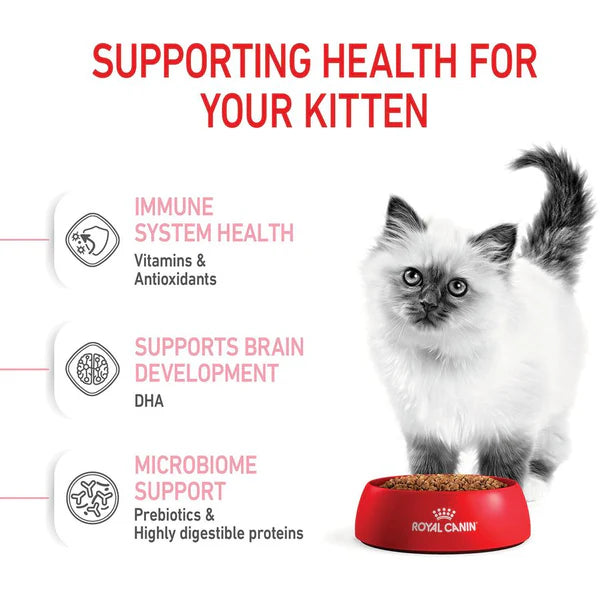 Royal Canin Kitten Dry Food