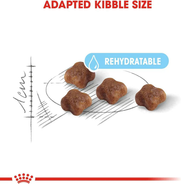 Royal Canin Mother & Babycat Dry Cat Food