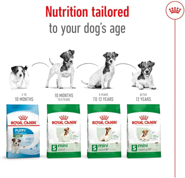 Royal Canin Mini Adult Dry Dog Food