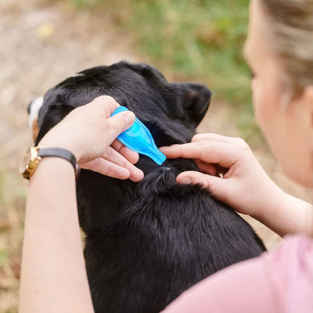 Beaphar Fiprotec Spot-On for Medium Dog, 4 Pipettes