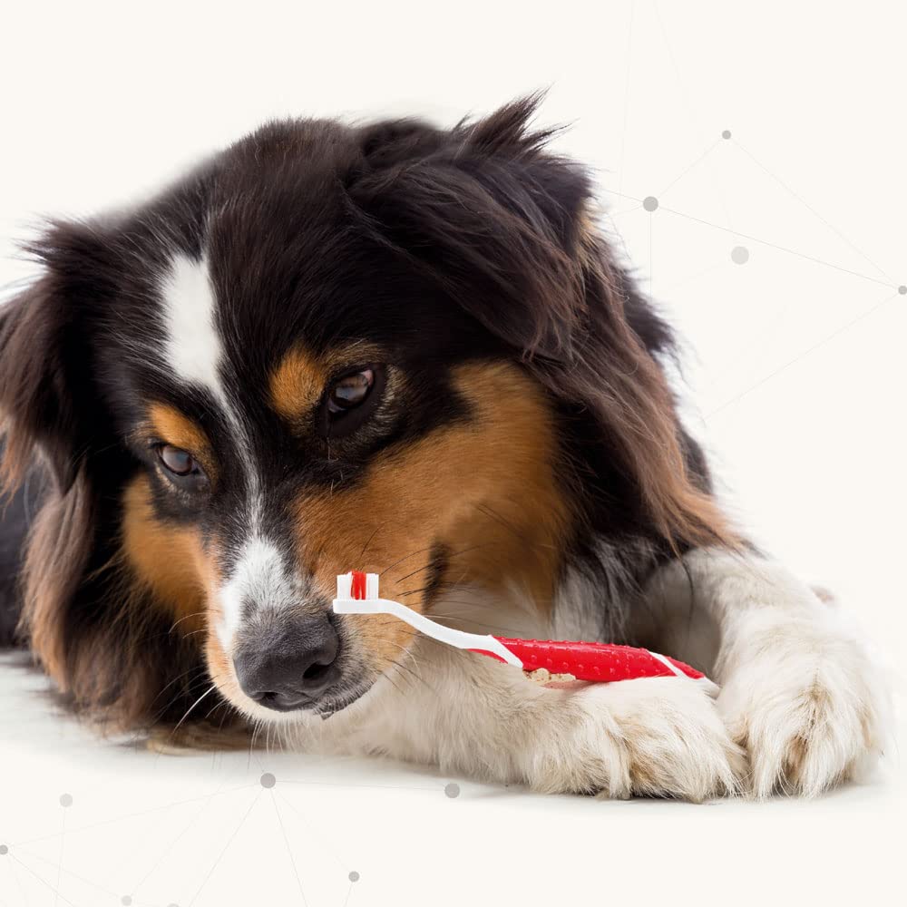 Beaphar Toothbrush & Toothpaste Combipack for Dogs & Cats