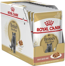 Royal Canin British Shorthair Adult Wet Cat Food