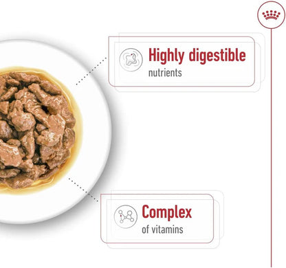 Royal Canin Mini Adult In Gravy-Salsa Wet Dog Food 85G