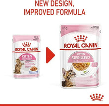 Royal Canin Kitten Sterilised In Jelly Wet Food 85G