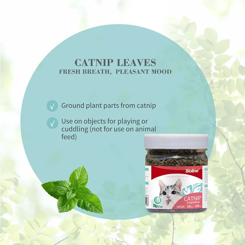 Bioline Invigorating Catnip Leaves Powder Multicolor 20G