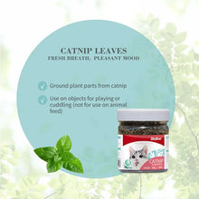 Bioline Invigorating Catnip Leaves Powder Multicolor 20G