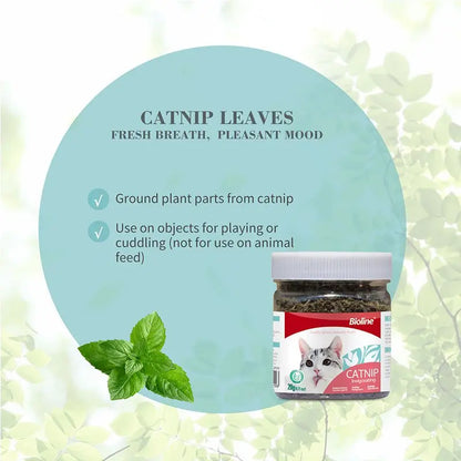 Bioline Invigorating Catnip Leaves Powder Multicolor 20G