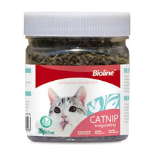 Bioline Invigorating Catnip Leaves Powder Multicolor 20G