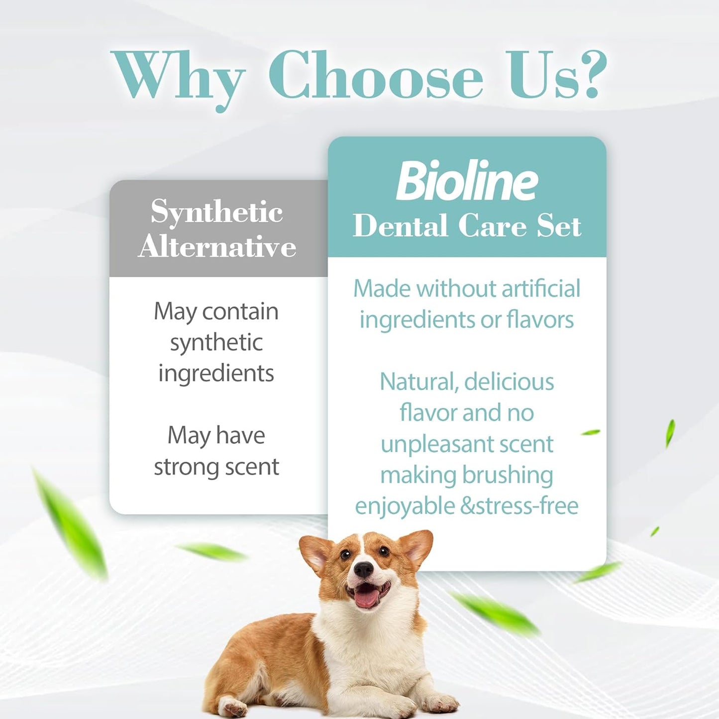 Bioline Tooth Paste Mint Flavour 100G, White