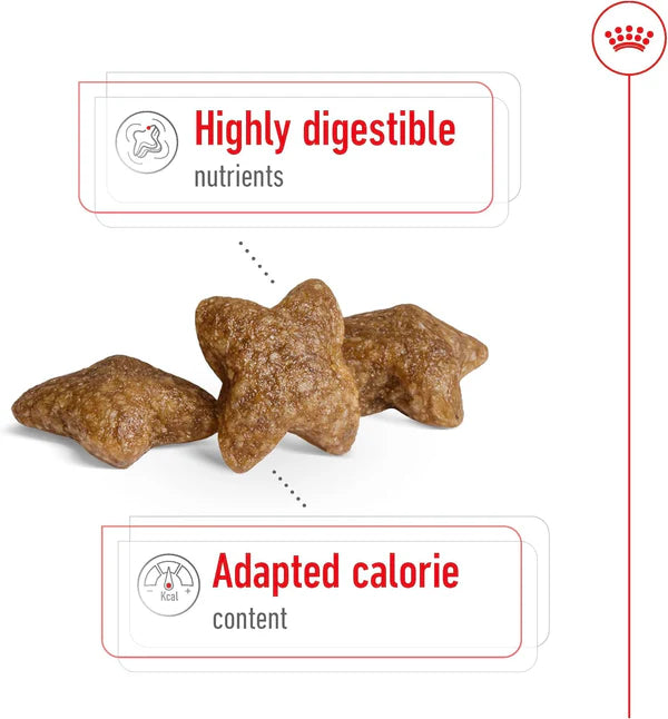 Royal Canin Mini Adult Dry Dog Food