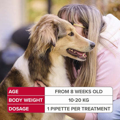Beaphar Fiprotec Spot-On for Medium Dog, 4 Pipettes