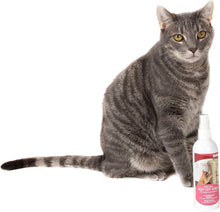 Bioline Keep Off Spray For Cats 209g