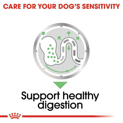 Royal Canin Digestive Care In Loaf Wet Dog Food 85G
