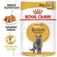 Royal Canin British Shorthair Adult Wet Cat Food - 85G