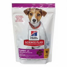 Hill's Science Plan Puppy Small and Mini Dry Dog Food – Chicken Recipe (300g)