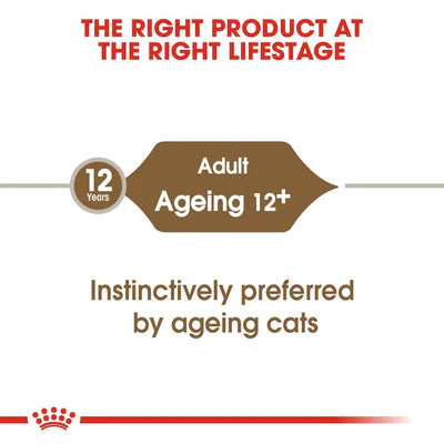 Royal Canin Ageing 12+ Chunks In Jelly Wet Cat Food 85G
