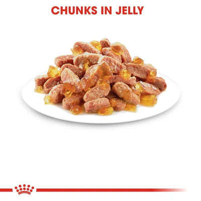 Royal Canin Kitten Sterilised In Jelly Wet Food 85G