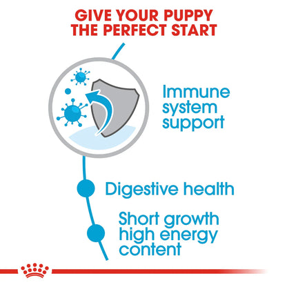 Advertisement for a pet product emphasizing immune system support, digestive health, and growth in puppies.