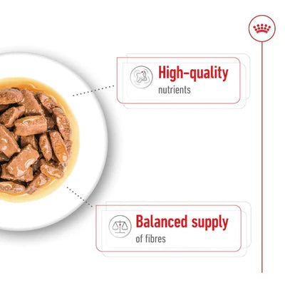 Royal Canin Maxi Adult Wet Dog Food 140G