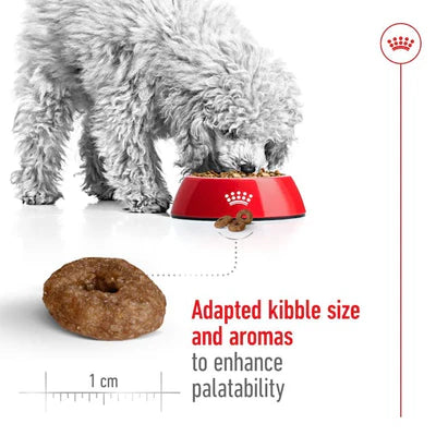 Royal Canin Mini Ageing 12+ Dry Dog Food 1.5KG