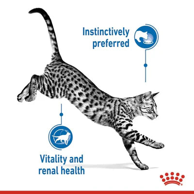 Royal Canin Indoor Sterilised 7+ in Chunks In Gravy Cat Wet Food 85G