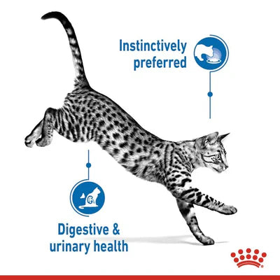 Royal Canin Indoor Sterilised In Gravy Cat Wet Food 85G