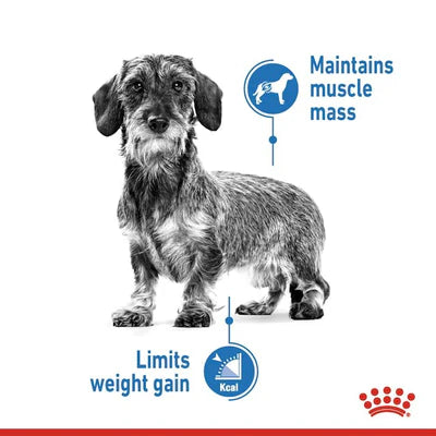 Royal Canin Light Weight Care Dog Wet Food 85G