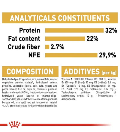 Royal Canin Persian Kitten Dry Food