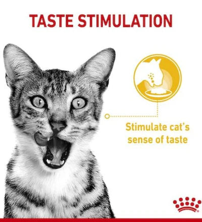 Royal Canin Feline Health Nutrition Sensory Taste Chunks In Gravy Cat Wet Food