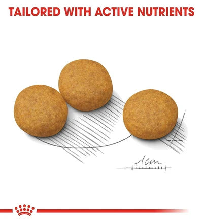 Royal Canin Medium Dermacomfort Dry Dog Food