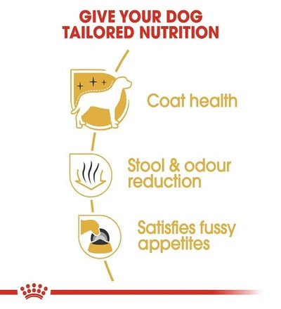 Royal Canin Maltese Adult Dry Dog Food 1.5KG