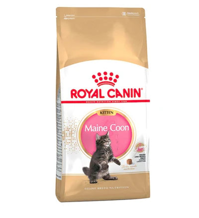Royal Canin Maine Coon Kitten Dry Food 2KG