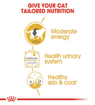 Royal Canin British Shorthair Adult Wet Cat Food